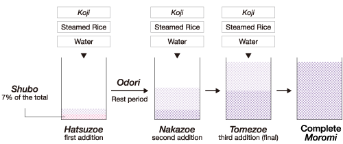 Brewing Moromi