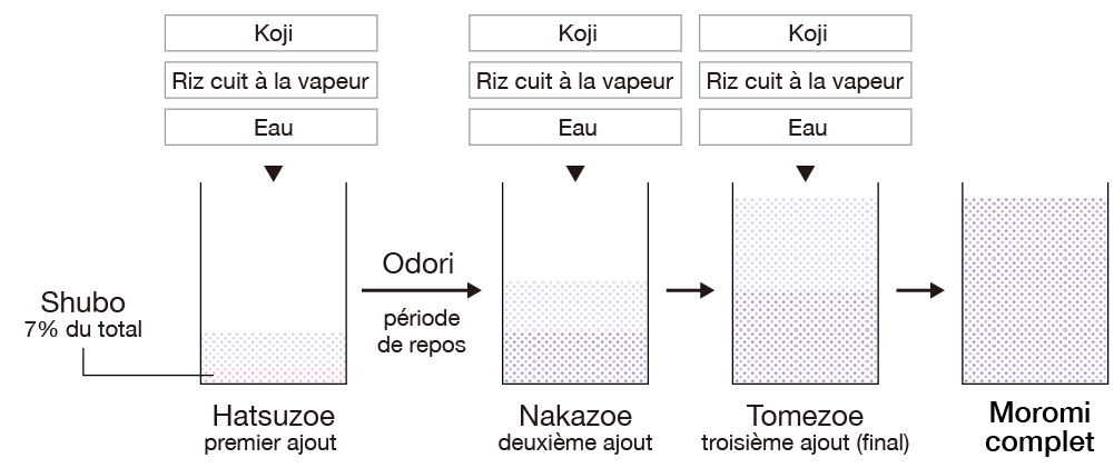 Brassage Moromi