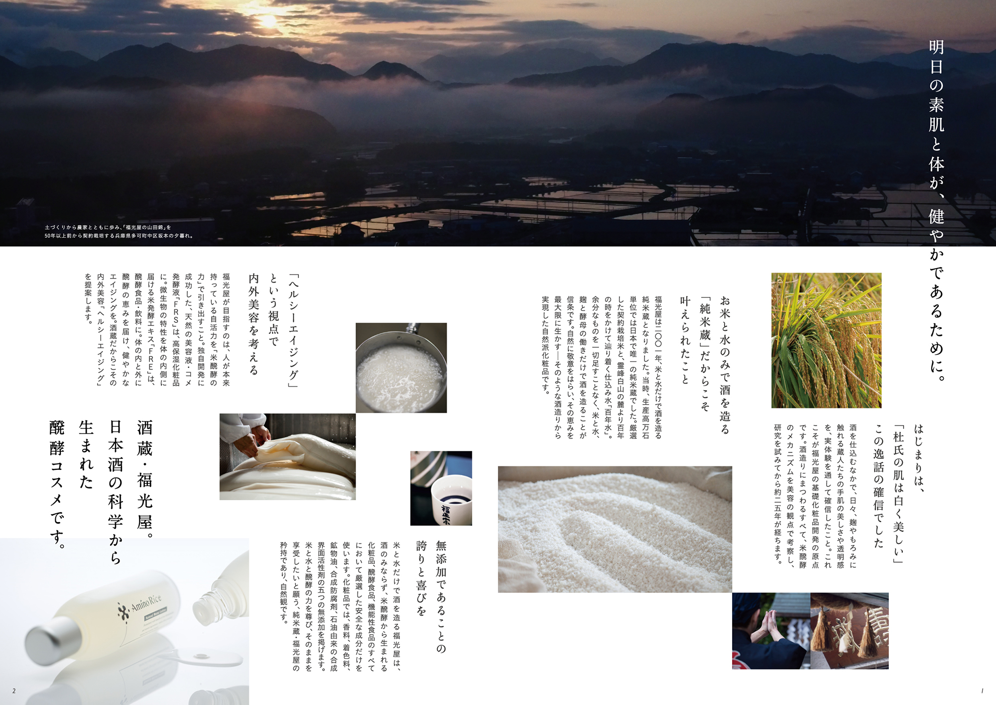 醗酵美通信 vol46 秋号
