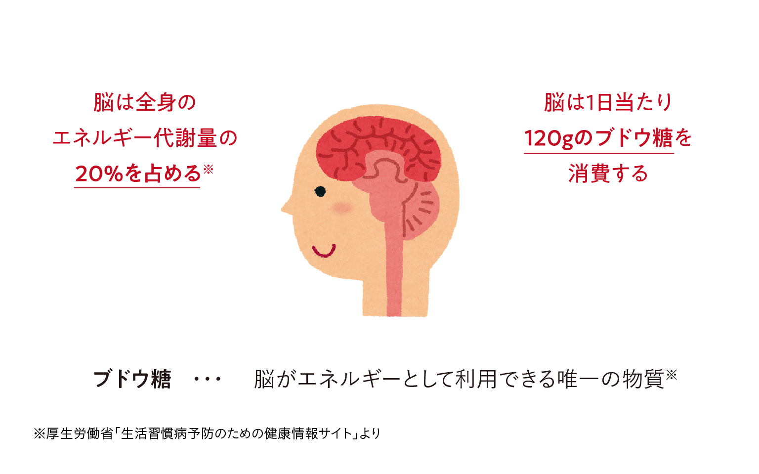 甘酒_ブドウ糖とエネルギー代謝量