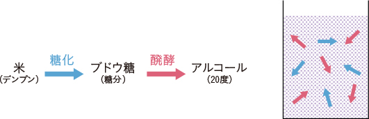 並行複発酵