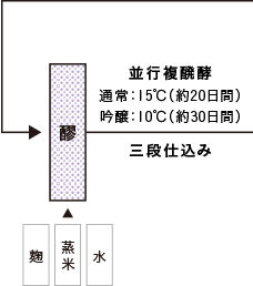 純米造りの工程4