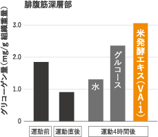 骨格筋・肝臓グリコーゲン再蓄積能への影響について