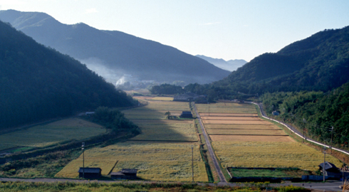 「瑞穂」の由来